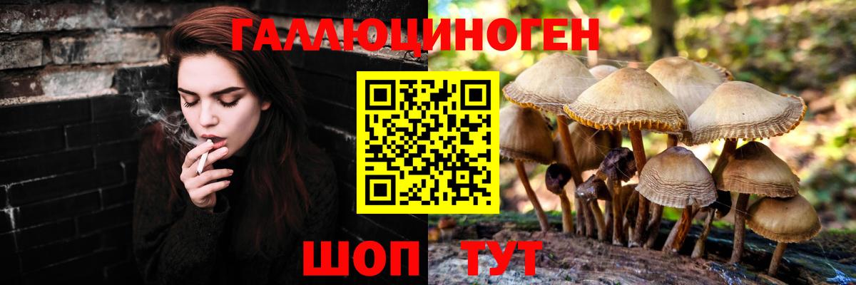 Псилоцибиновые грибы Cubensis  Вход с VPN  Прохладный 